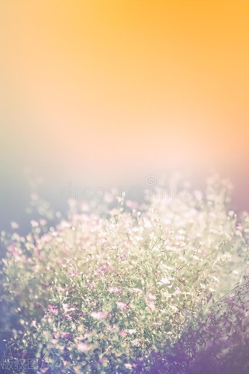 浮生若骄狂，何以安流年，愿时光不负，愿岁月可期(图3)