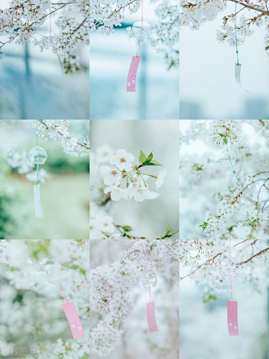 浮生若骄狂，何以安流年，愿时光不负，愿岁月可期(图6)