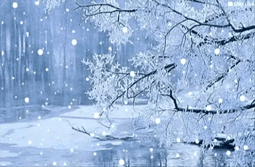 飘雪的日子，聆听雪落无声花开绽放的时光【散文】(图2)