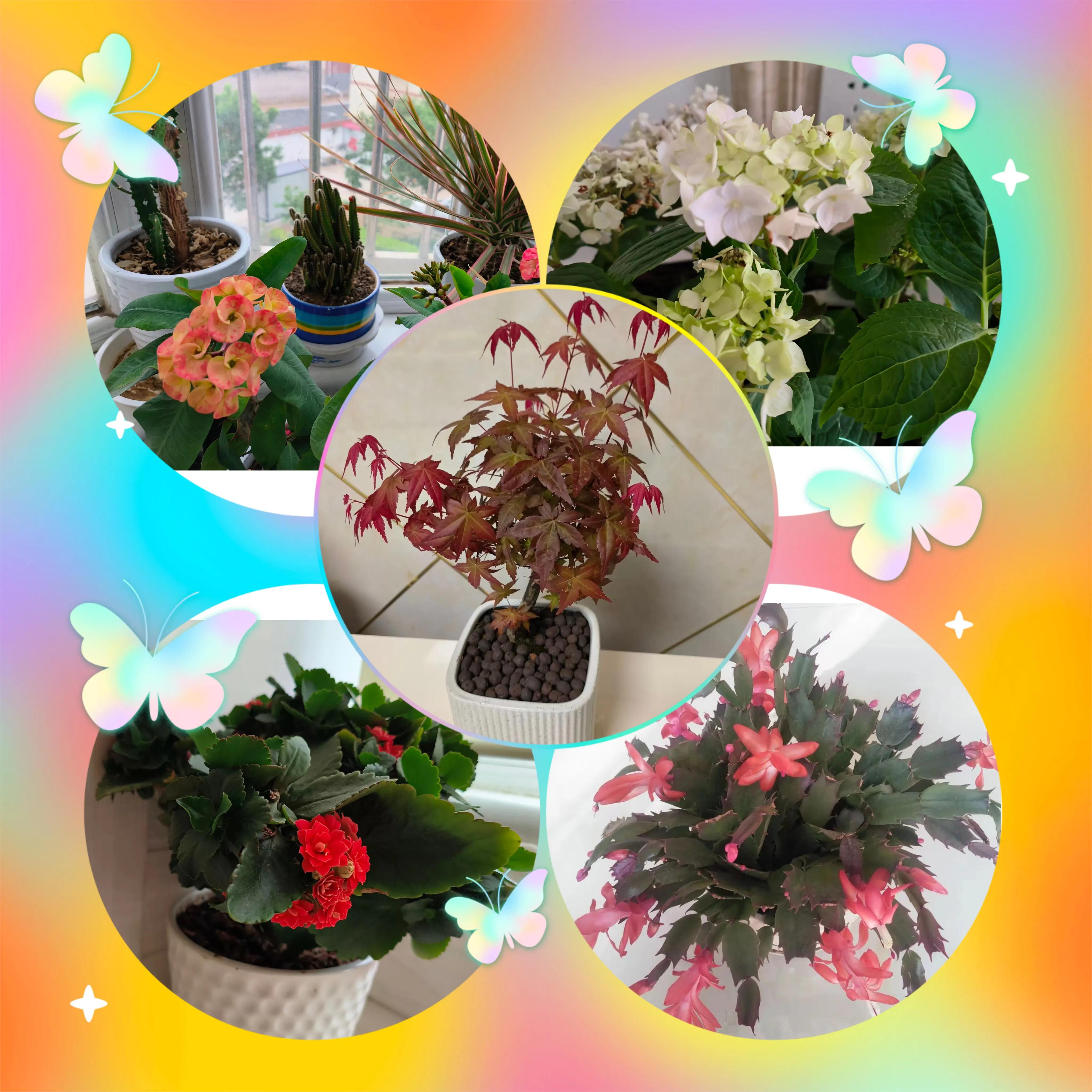 静静地清扫房间，净净地感受幸福(图9)