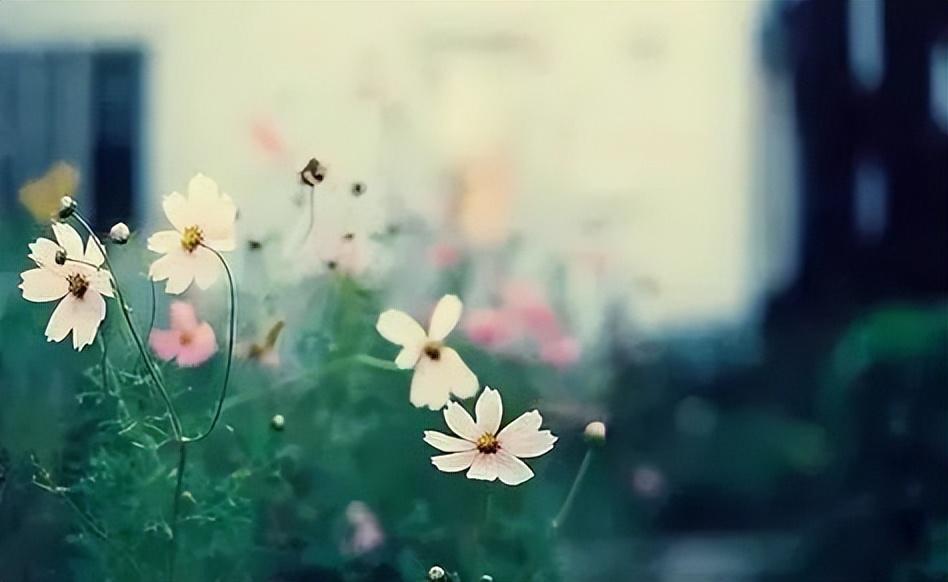 分享在家搞卫生的幽默说说(图5)