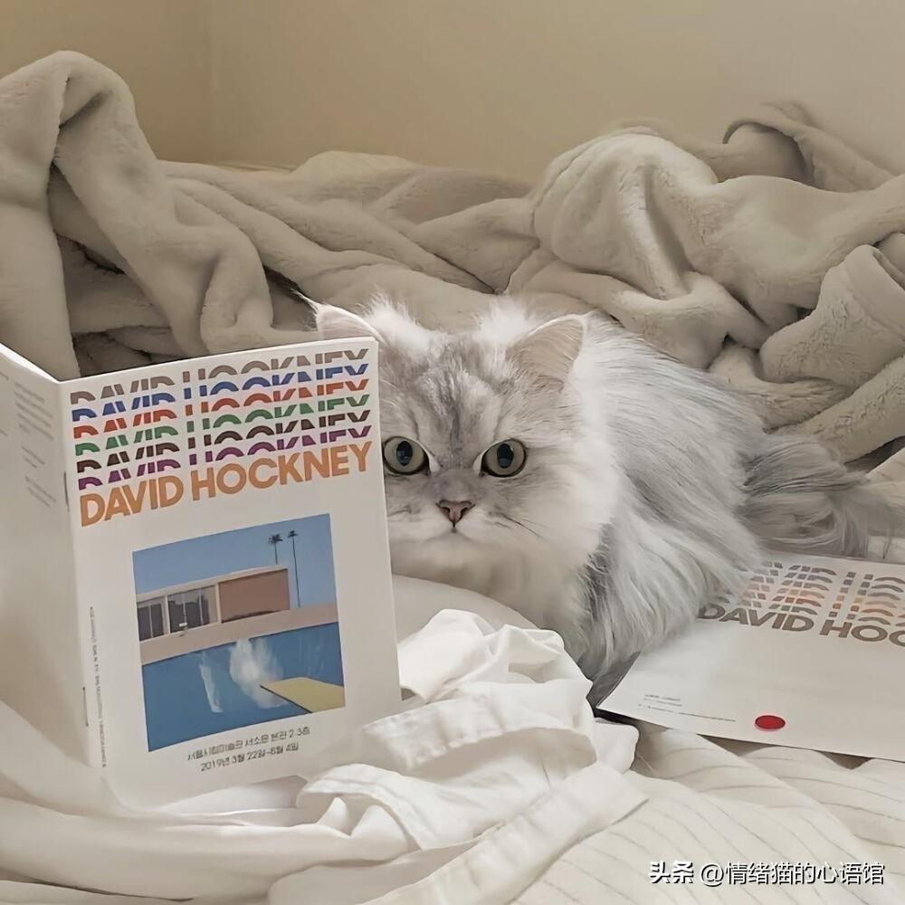 55句值得一看的搞笑幽默说说(图2)