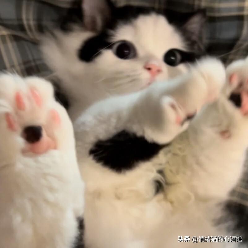 55句值得一看的搞笑幽默说说(图5)