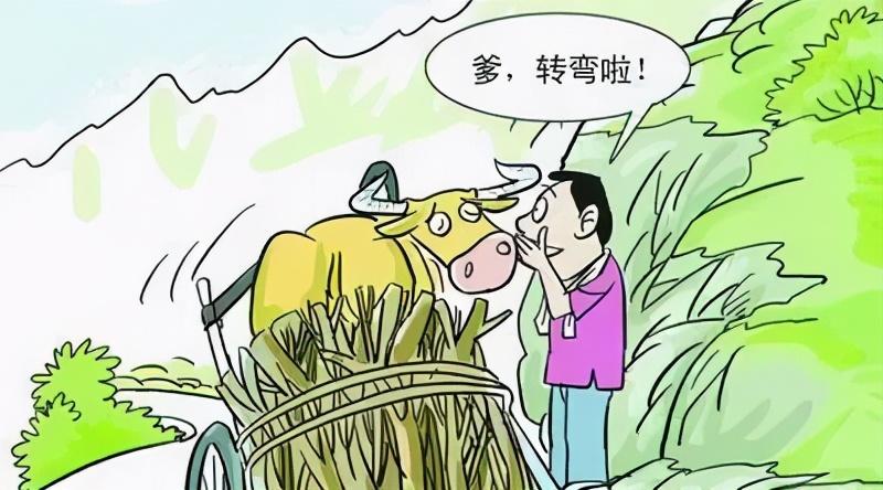 习惯的力量有多强？一个小故事告诉你(图1)