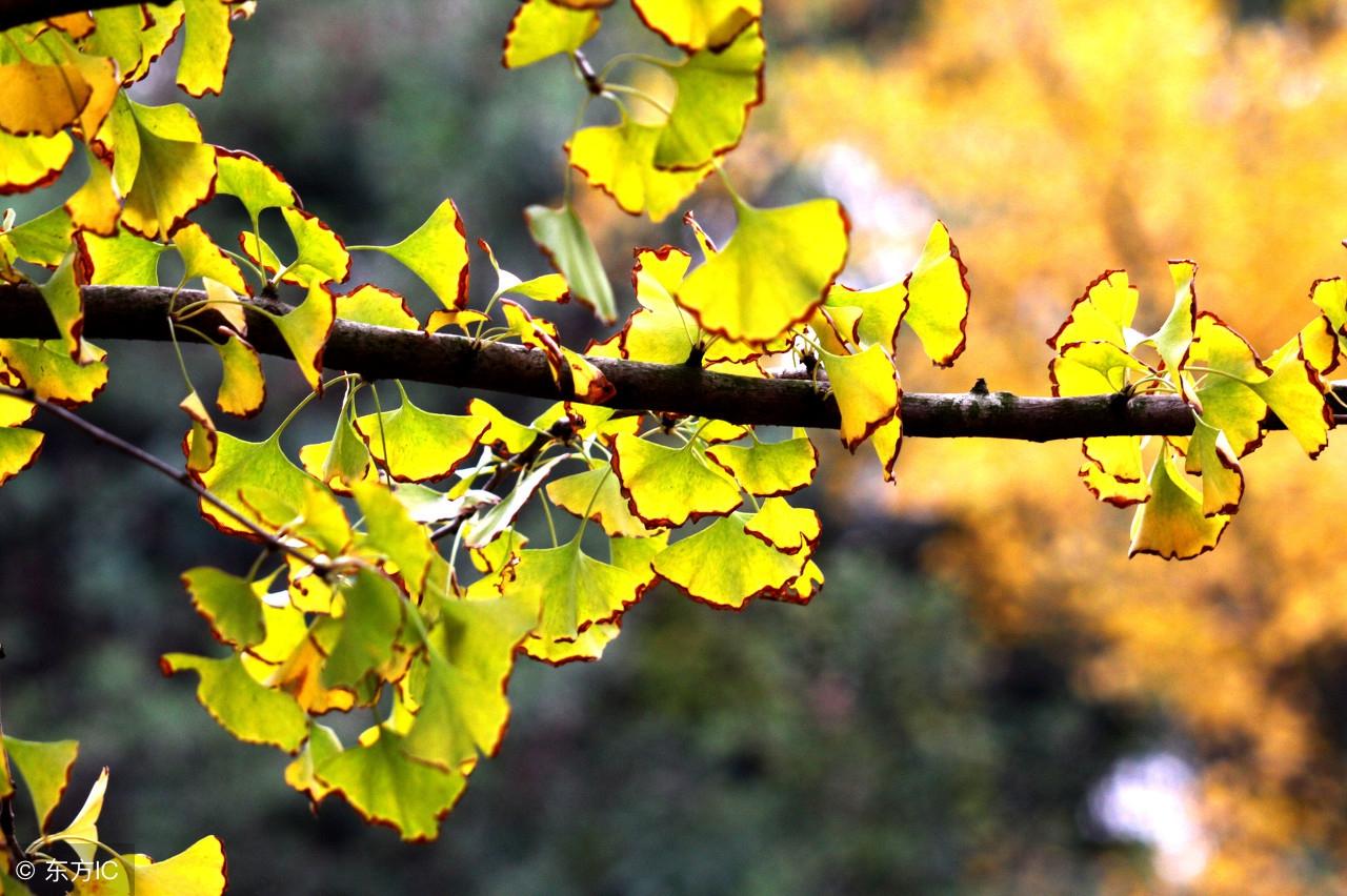 王阳明心学经典语录(图1)