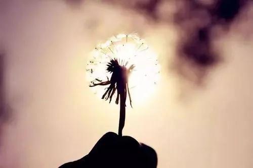 励志寓言和故事短篇(图5)