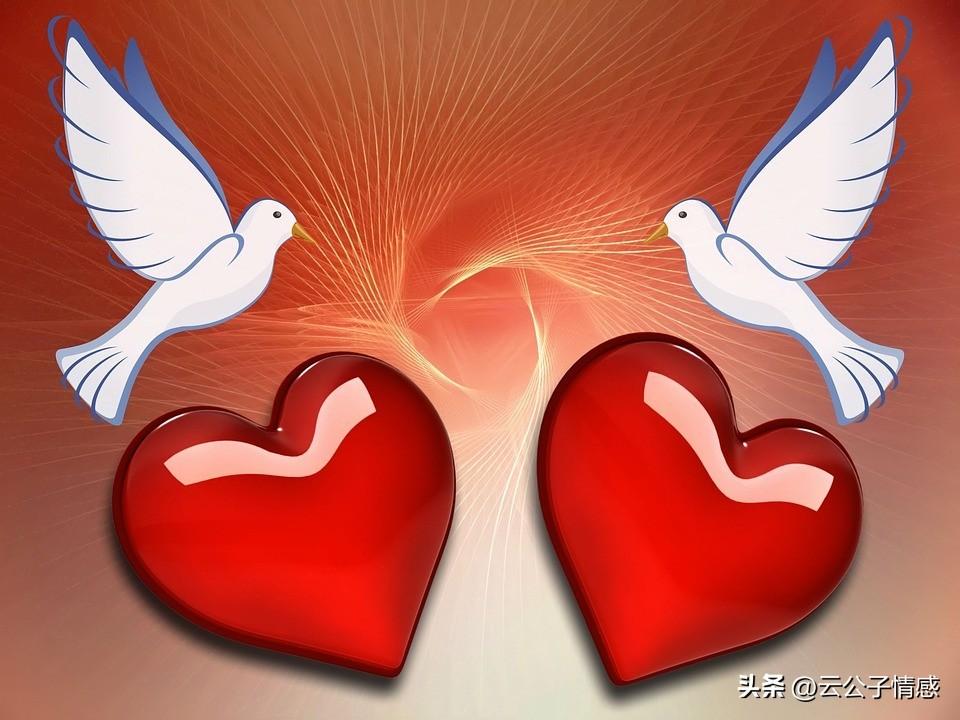 三则暖心励志亲情寓言，感动人心的动物故事(图1)