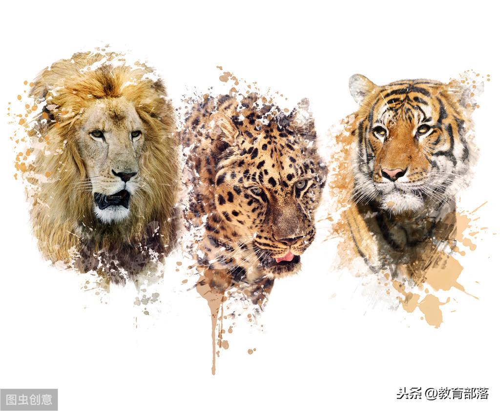 激励小学生的100个寓言故事_故事2、谁更勇敢(图3)