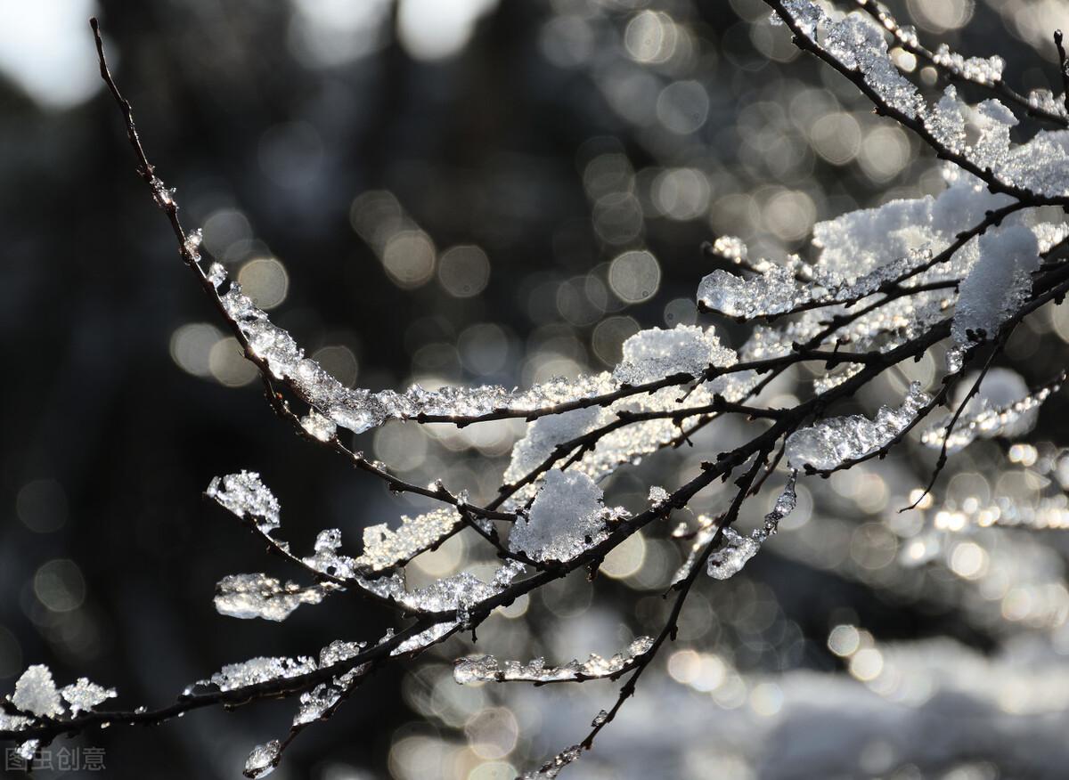 6条正能量励志短句写给自己：努力改变人生，越努力，越幸运(图4)