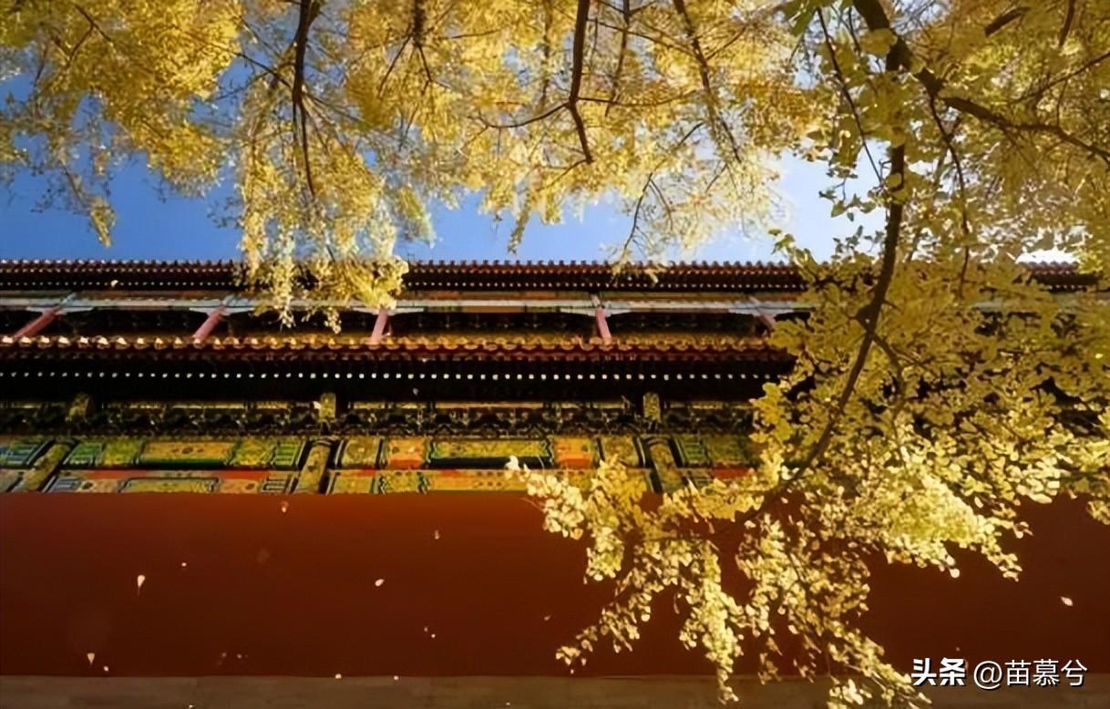 此生无悔入华夏，20句古话说爱国(图5)