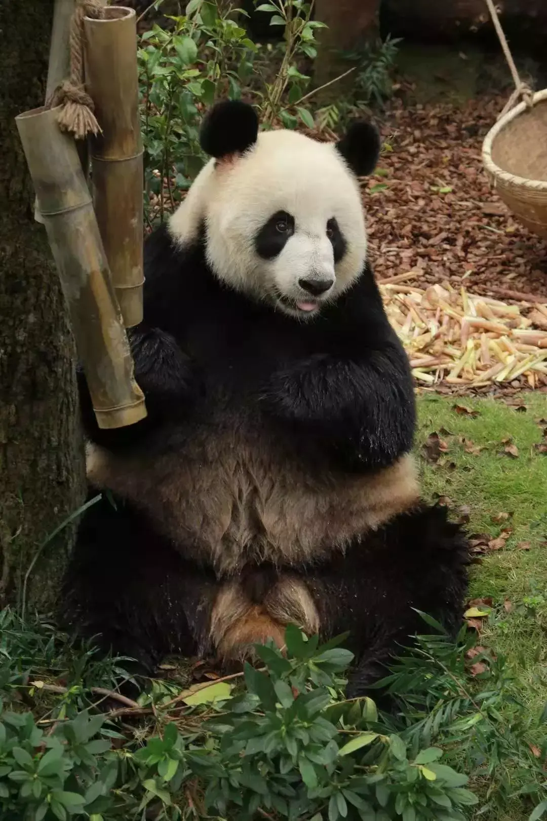 五一高铁游，看过来！(图5)