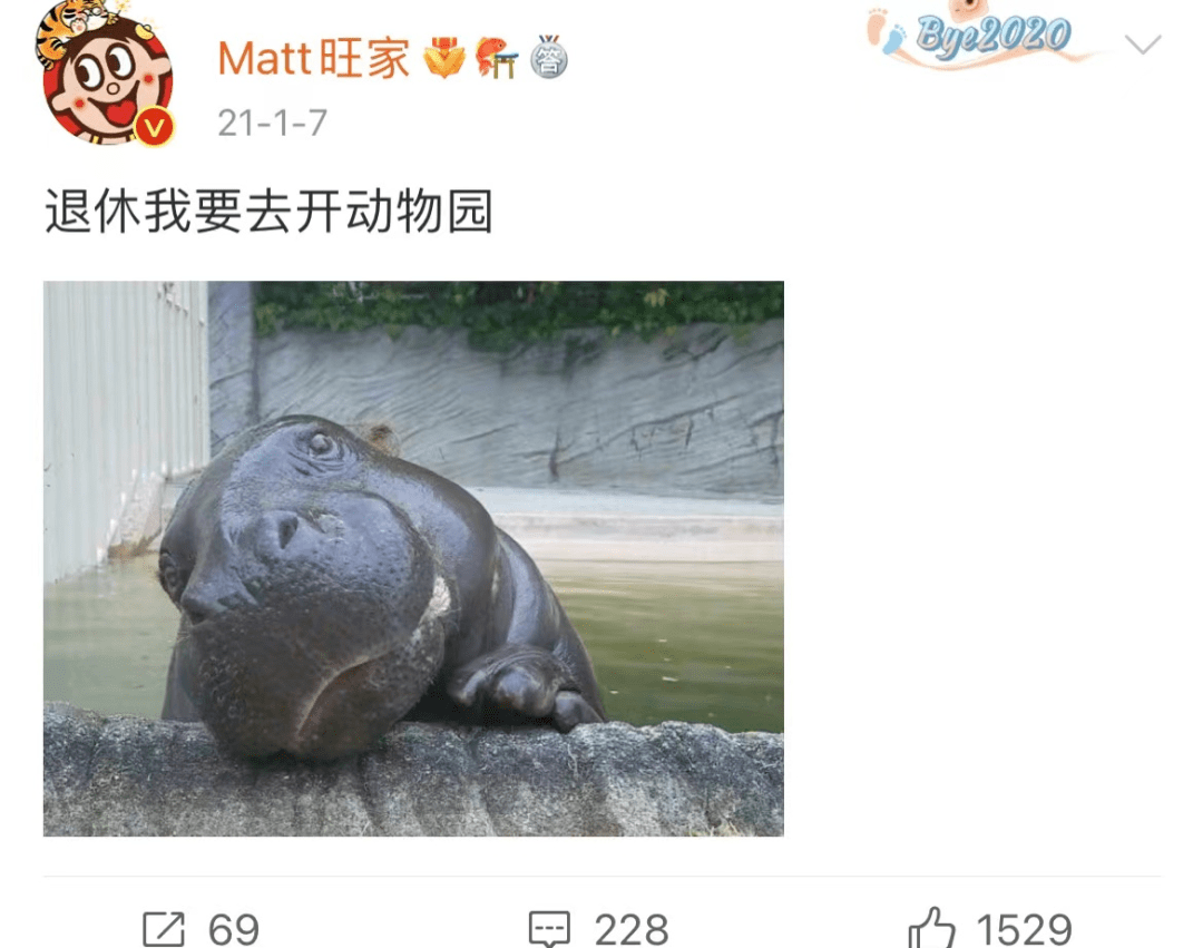 一身正气的“旺旺”，全网点赞(图6)