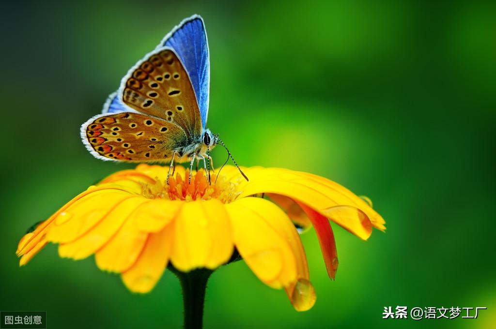 20条有助于培养乐观心态的哲理语录告诉你：静观万物，笑看人生(图1)