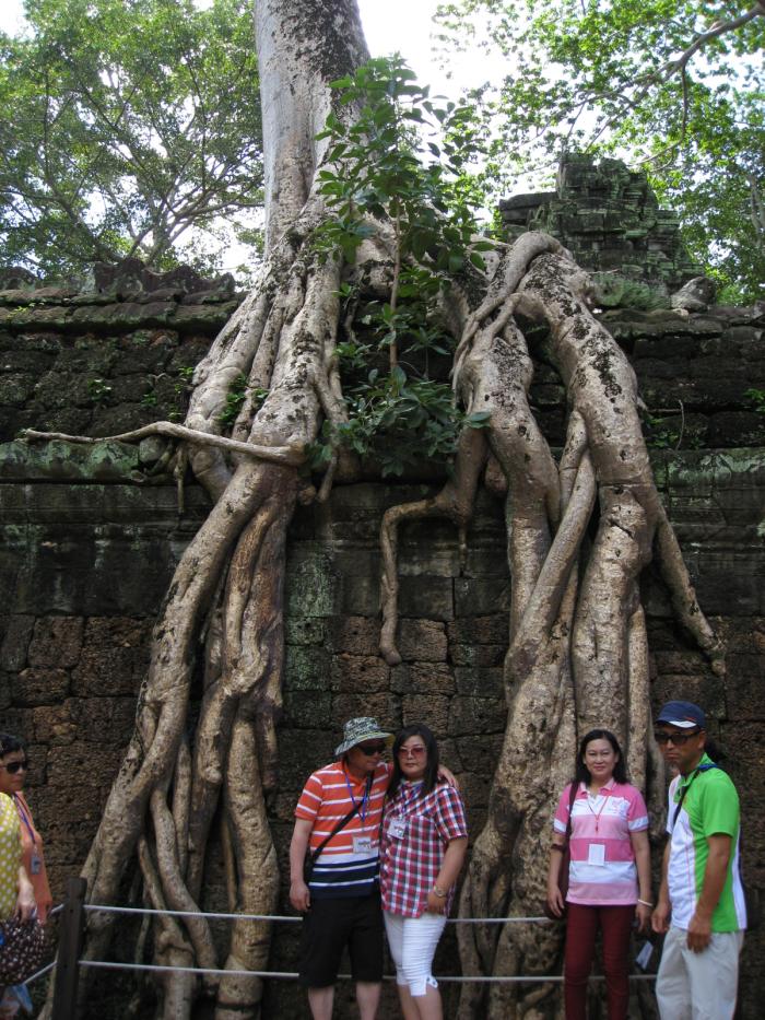 【经典名言荟萃】073 万物静观皆自得，人生宁静方致远(图2)