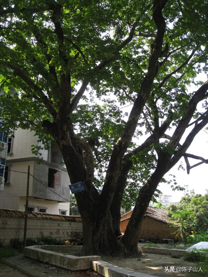 【经典名言荟萃】119 静观其变是一种能力；顺其自然是一种幸福(图1)