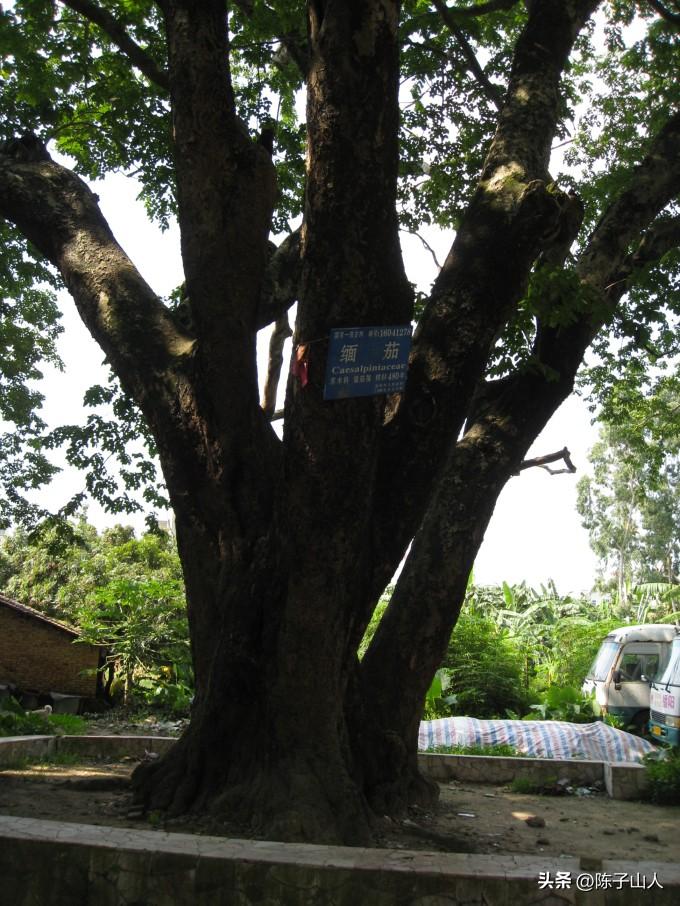 【经典名言荟萃】119 静观其变是一种能力；顺其自然是一种幸福(图2)