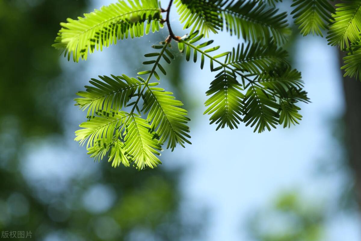 有这样的风景，我也喜欢上班(图3)
