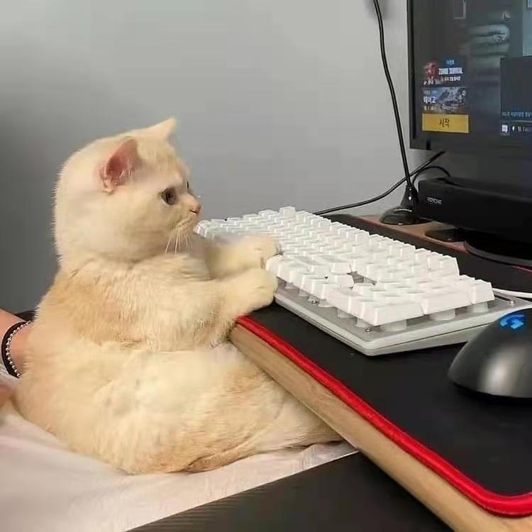 备忘录的宝藏句子｜糖果罐里有你喜欢的颜色(图6)