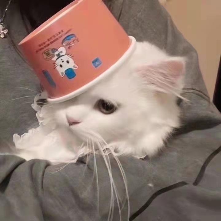 备忘录的宝藏句子｜糖果罐里有你喜欢的颜色(图7)