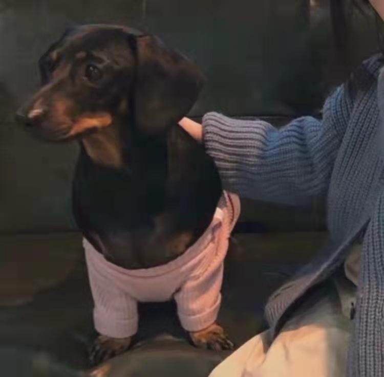 备忘录的宝藏句子｜糖果罐里有你喜欢的颜色(图9)