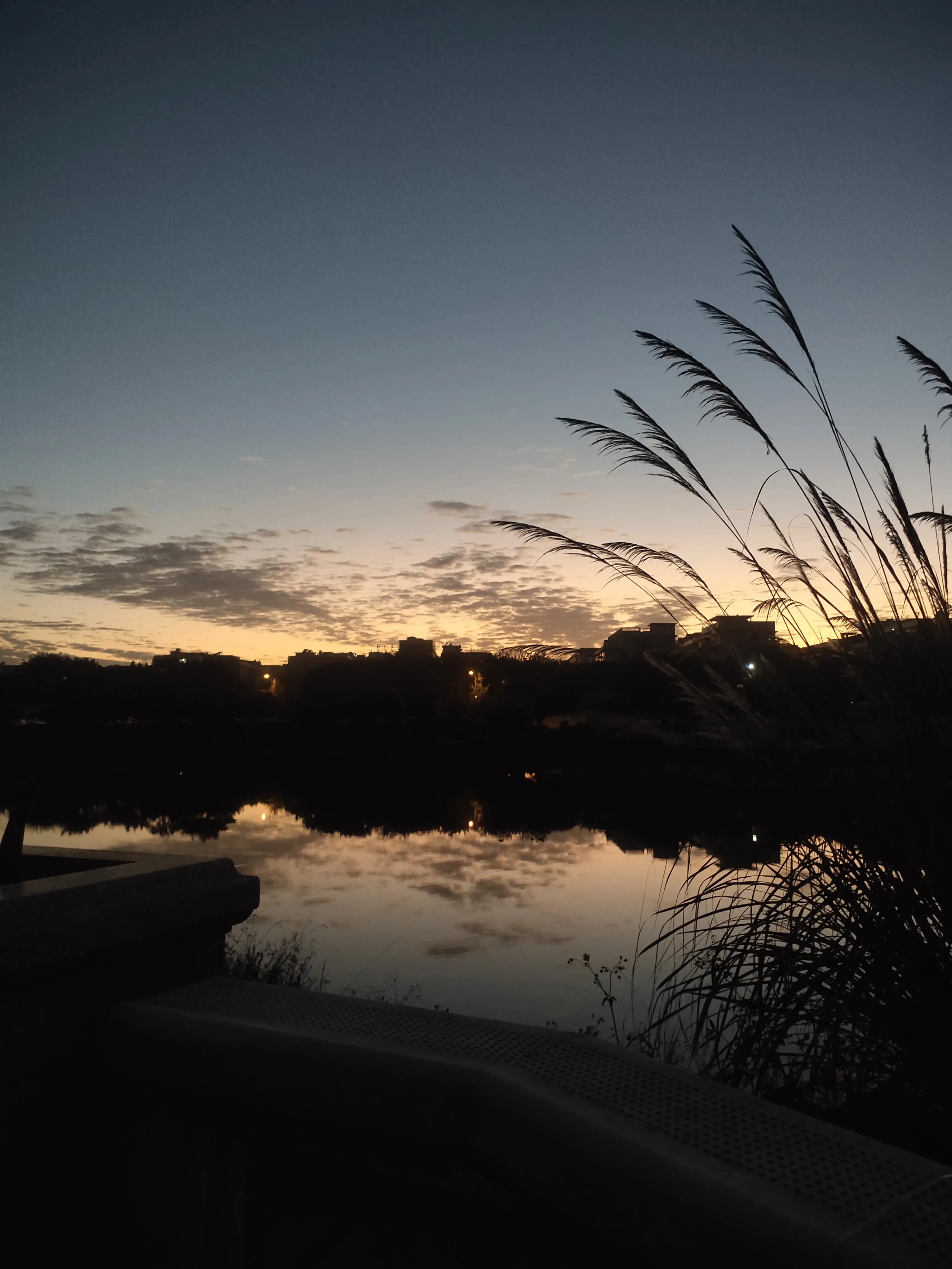 总得吃点苦，才能记住糖的味道(图1)