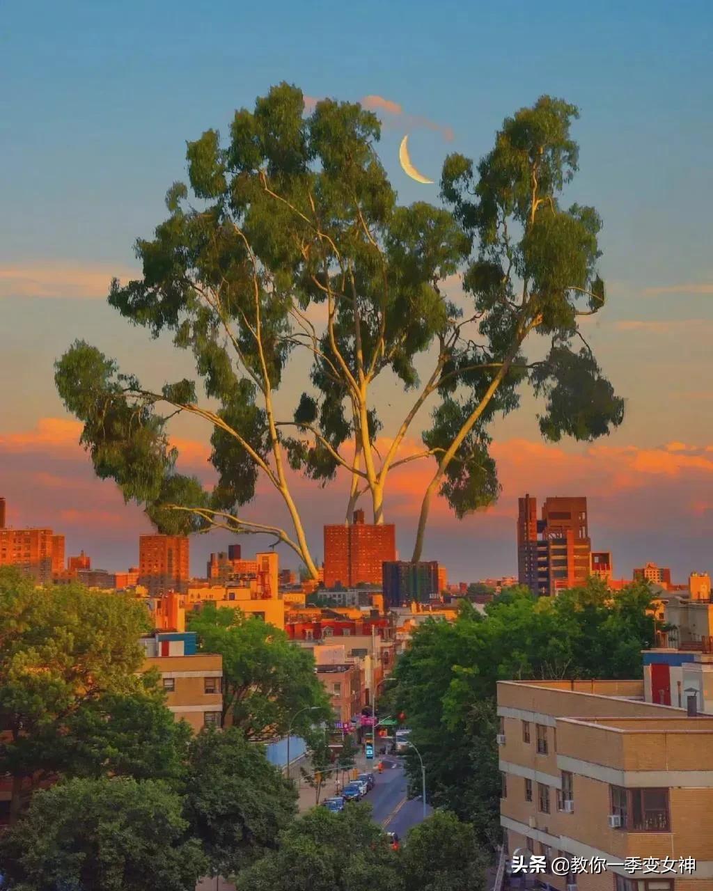 世界上没有什么糖是苦的——有啊，她的喜糖！扎心句子泪流满面(图2)