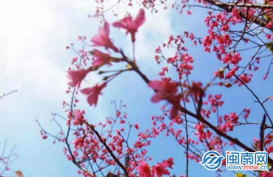 元宵节诗句古诗大全 关于元宵节的古风祝福语文艺说说(图1)