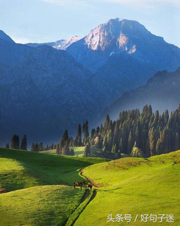 改变一生的励志名言警句，句句震撼人心！(图6)