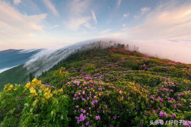 励志人生格言短句，选一条当个性签名，激励自己成长！(图5)