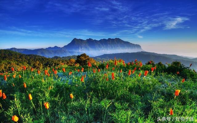 励志人生格言短句，选一条当个性签名，激励自己成长！(图8)