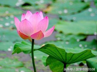 值得珍藏一生的500条励志箴言，每一句都会有所启示，收藏品鉴(图8)