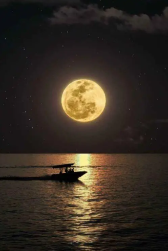 「原创诗词」柳陈琦 | 我欲飞天舞，休笑白头翁（古词八阕）(图7)