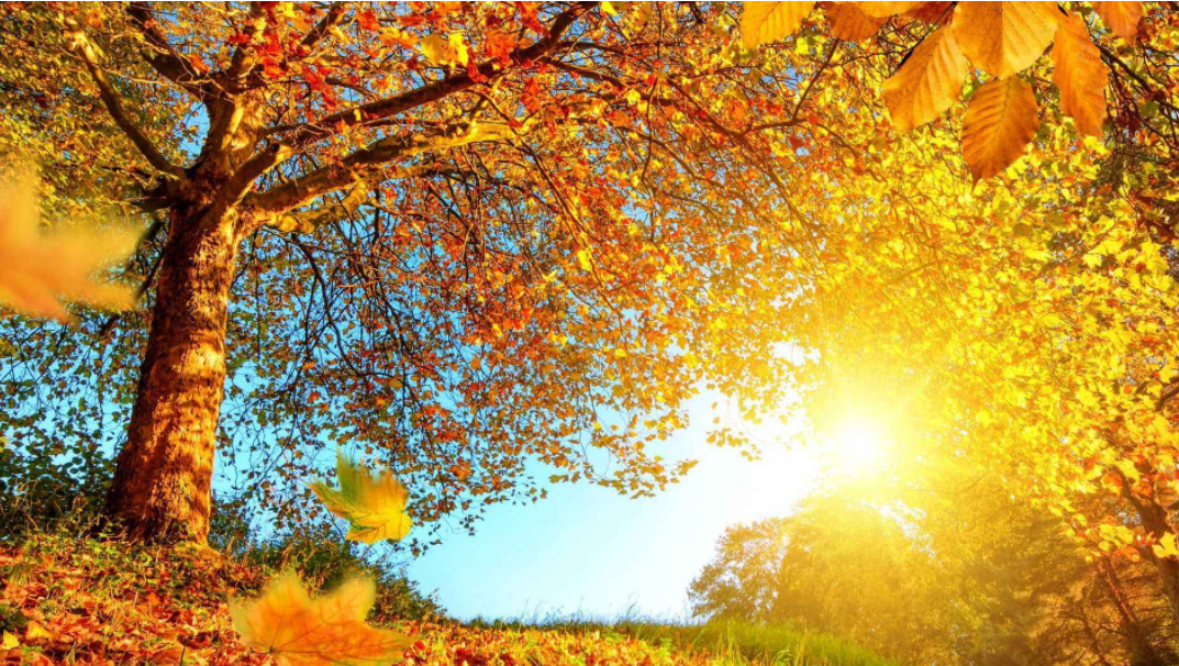 「原创诗词」柳陈琦 | 我欲飞天舞，休笑白头翁（古词八阕）(图17)