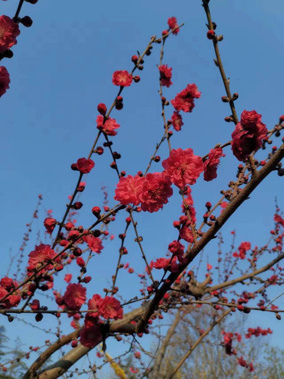 知心胜过千言万语，懂心胜过锦上添花(图2)