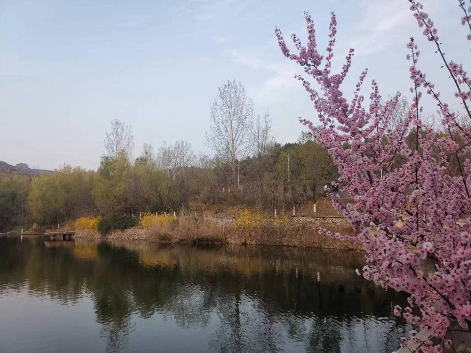 知心胜过千言万语，懂心胜过锦上添花(图3)