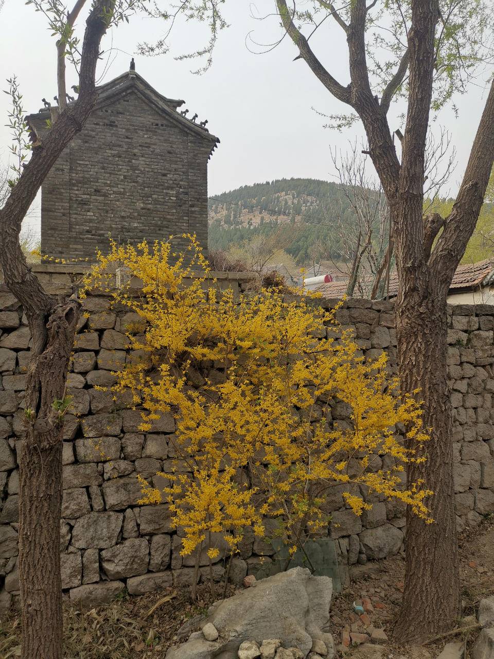 知心胜过千言万语，懂心胜过锦上添花(图4)