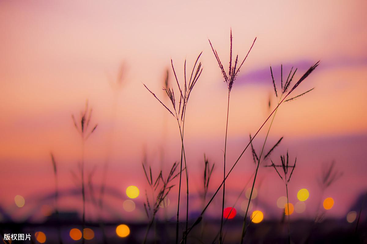 大爱无声，智者无言，智慧生于沉默(图1)