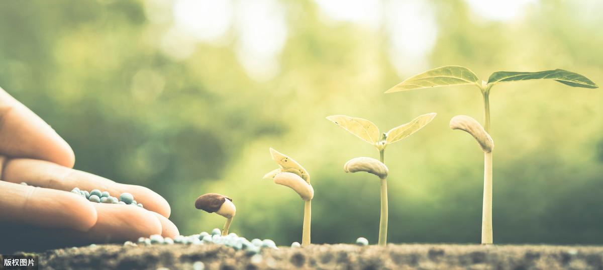 大爱无声，智者无言，智慧生于沉默(图7)