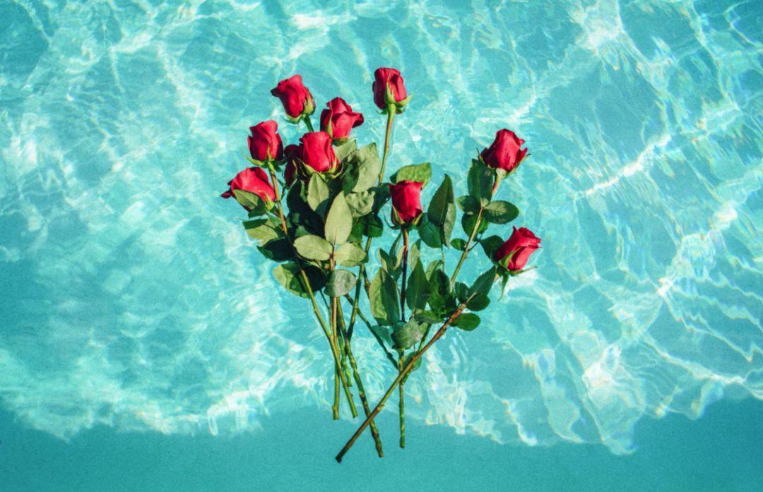 鸡汤美文整理，包含“爱”的经典语录，总有一条你需要(图1)