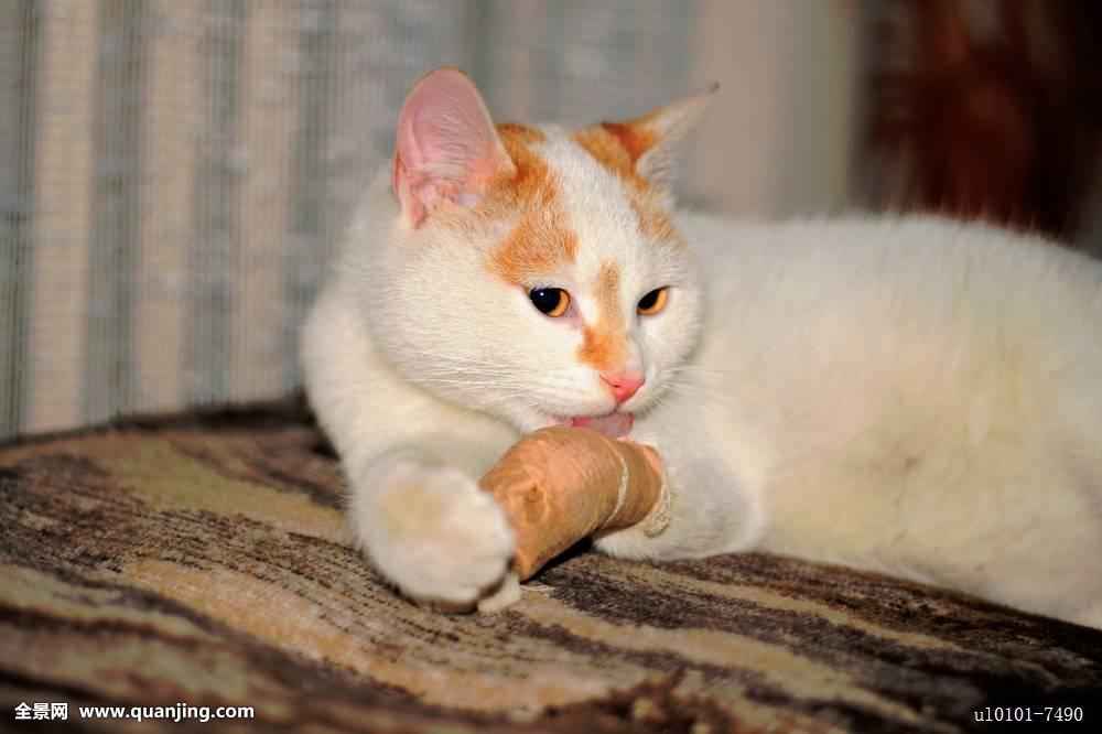 大爱无边,真情互感;你若安好,便是晴天(图3) 大爱无边,真情互感;你若安好,便是晴天(图3)