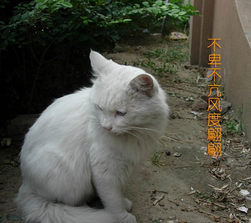 大爱无边,真情互感;你若安好,便是晴天(图5) 大爱无边,真情互感;你若安好,便是晴天(图5)