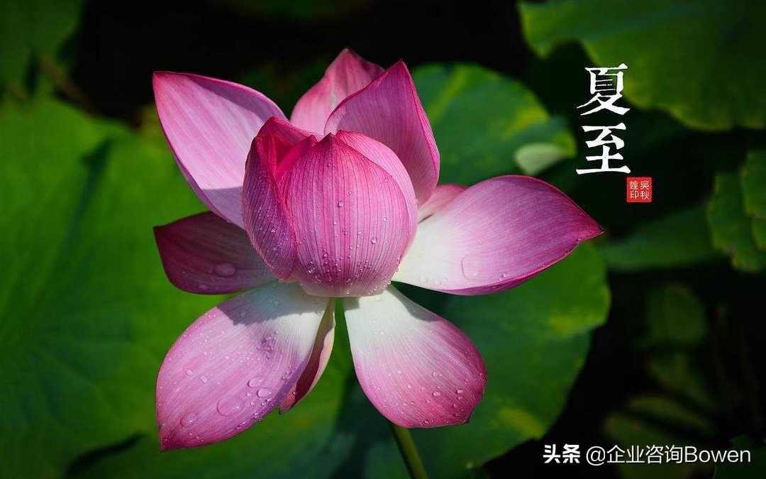 鼓励销售冲刺业绩的句子60句(图1)