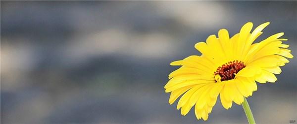 生活就像一架钢琴：白键是快乐，黑键是悲伤 早安(图1)