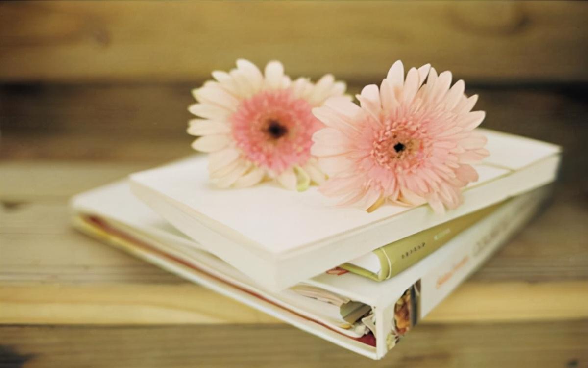 放下一个人的最好方式：不闻不问(图4)