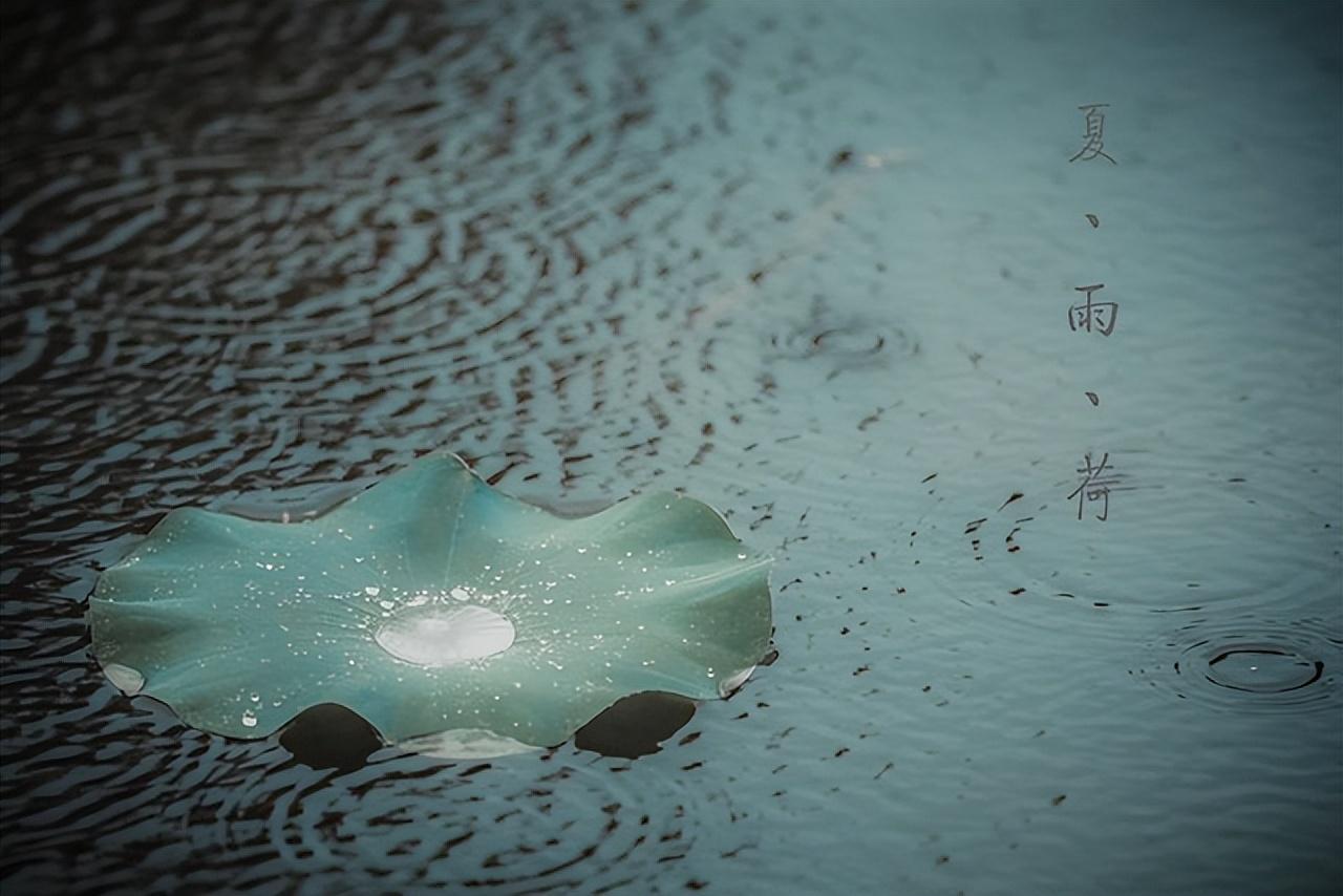 人生茶味苦，花经风雨美，深爱过，更需放手行(图2)