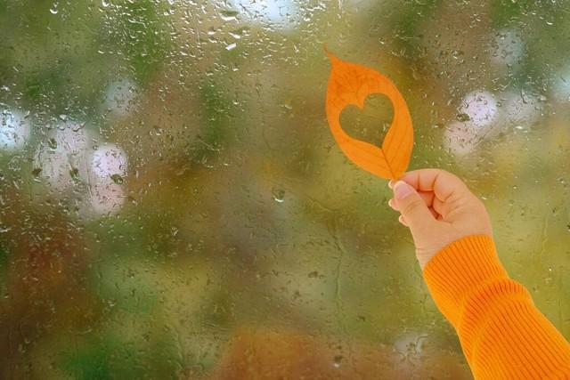 人生茶味苦，花经风雨美，深爱过，更需放手行(图4)