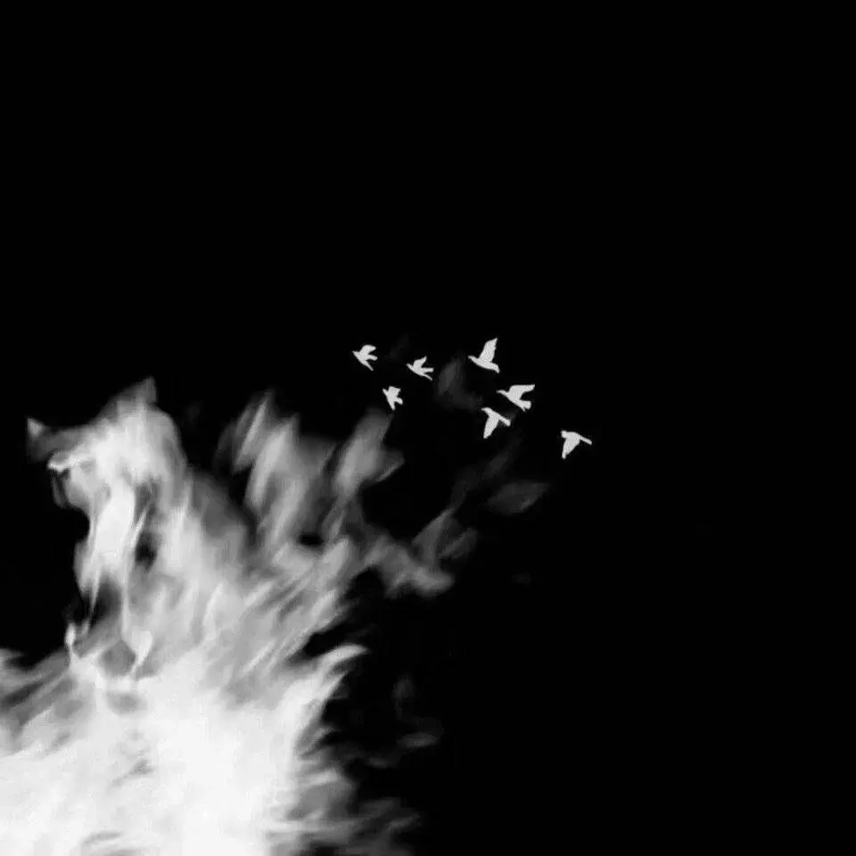 “相爱却不能在一起的遗憾文案”(图3)