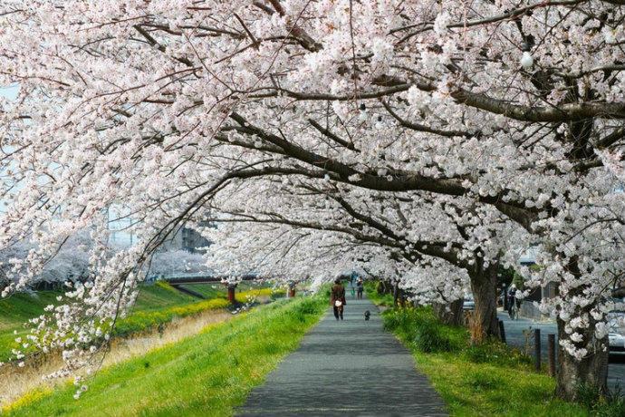 最美的风景，一直在路上（句句入心）(图1)