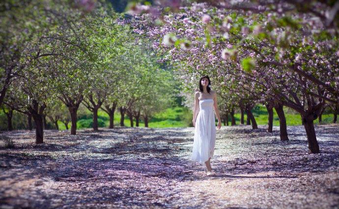 最美的风景，一直在路上（句句入心）(图2)