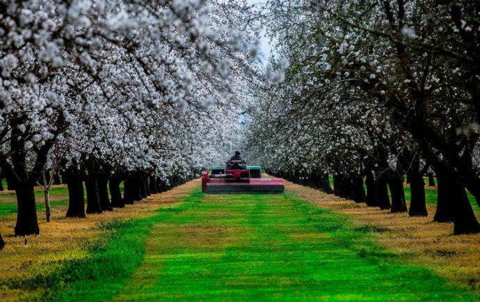 最美的风景，一直在路上（句句入心）(图3)